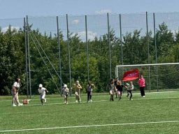 50618945411789770440302424180039798360921353n